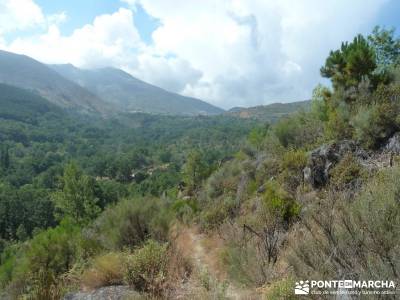 Valle del Alto Alberche;rutas senderismo sierra guadarrama senderismo sierra guadarrama rutas para h